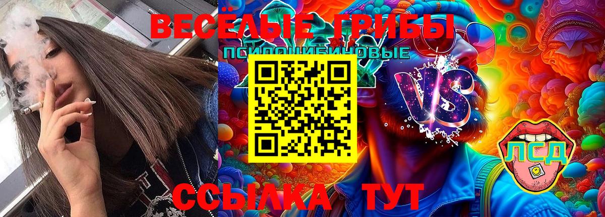 Торжок  Галлюциногенные грибы Magic Shrooms  Вход с VPN 